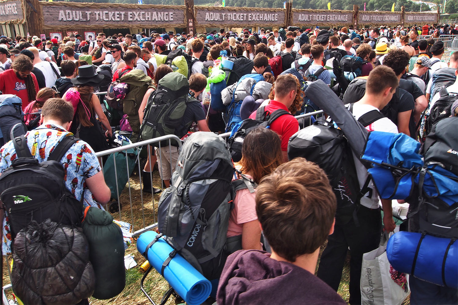 P0054335-2016-08-11-suedengland-boomtown-ankunft Ankunft in Boomtown . Matterley Estate bei Winchester . Sussex . Südengland (Foto: Andreas Kuhrt)