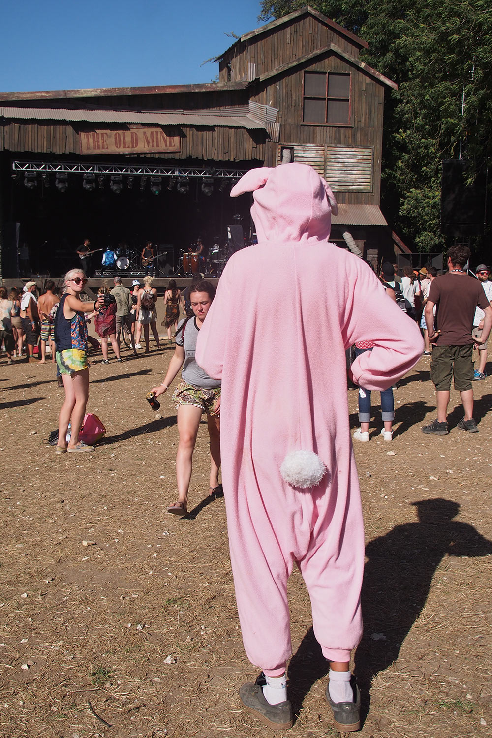 P0054834-2016-08-12-suedengland-boomtown-wild-west-old-mine-schwein Dünnes Schwein bei Old Mine . Boomtown Fair . bei Winchester . Sussex . Südengland (Foto: Andreas Kuhrt)