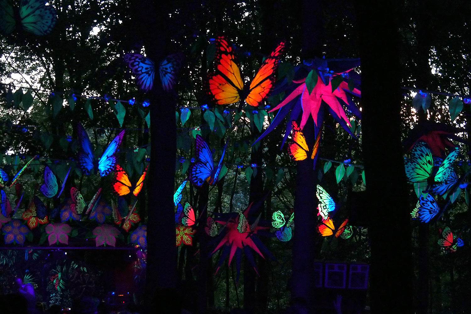 P0054938-2016-08-12-suedengland-boomtown-psy-forest Psy Forest . Boomtown Fair . bei Winchester . Sussex . Südengland (Foto: Andreas Kuhrt)
