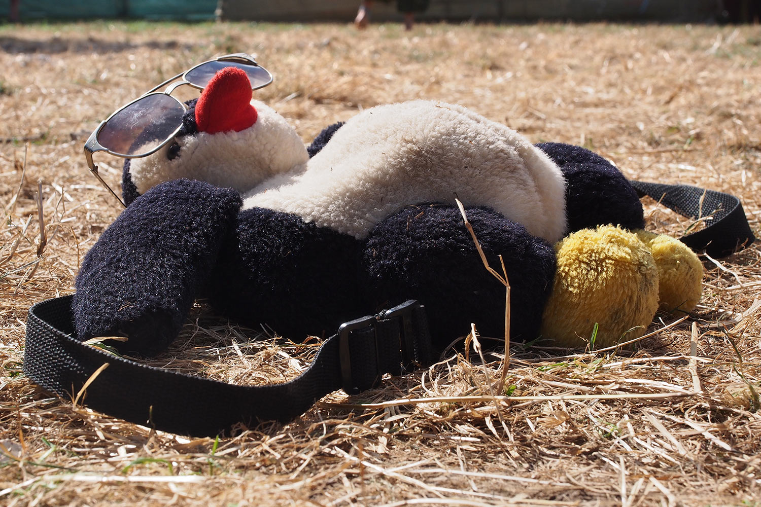 P0055392-2016-08-14-suedengland-boomtown-whistlers-green-stoffpinguin-sonnt-sich Pinguin sonnt sich . Whistlers Green . Boomtown Fair . bei Winchester . Sussex . Südengland (Foto: Andreas Kuhrt)
