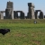 Rabe vor Stonehenge . bei Amesbury . Wiltshire . Südengland (Foto: Andreas Kuhrt)
