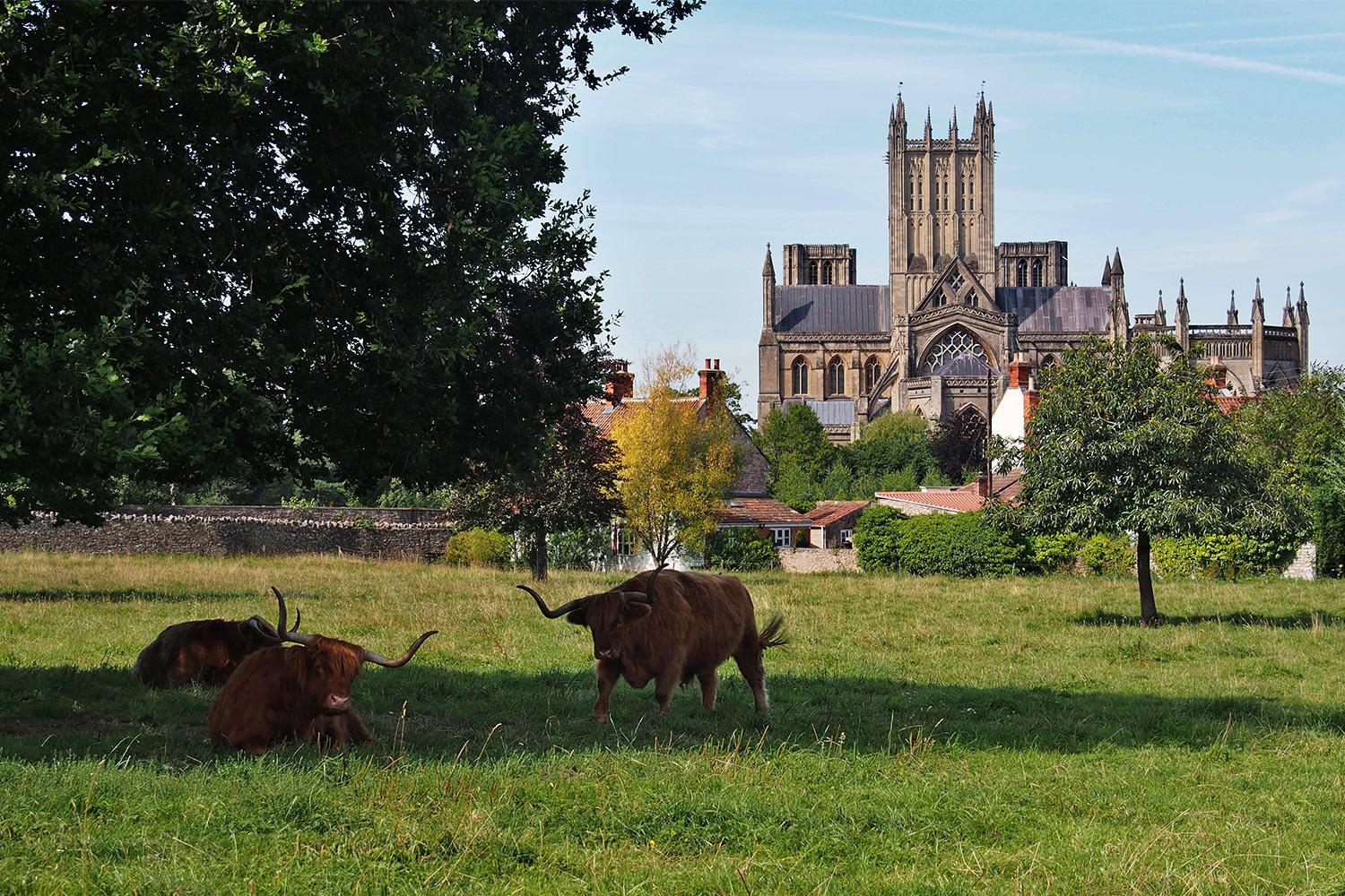 Wells Cathedral St. Andrew, Ostansicht von der Torhill Lane . Somerset . Südengland (Foto: Andreas Kuhrt)