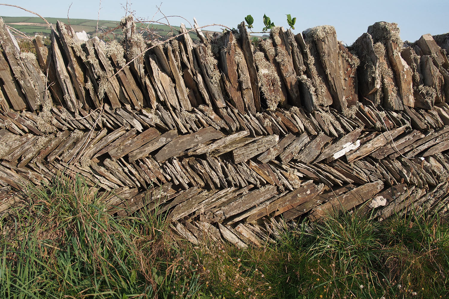 P0056256-2016-suedengland-tintagel-normannische-south-west-path-schichtmauer Trockenmauer am South West Coast Path bei Tintagel . Cornwall . Südengland (Foto: Andreas Kuhrt)