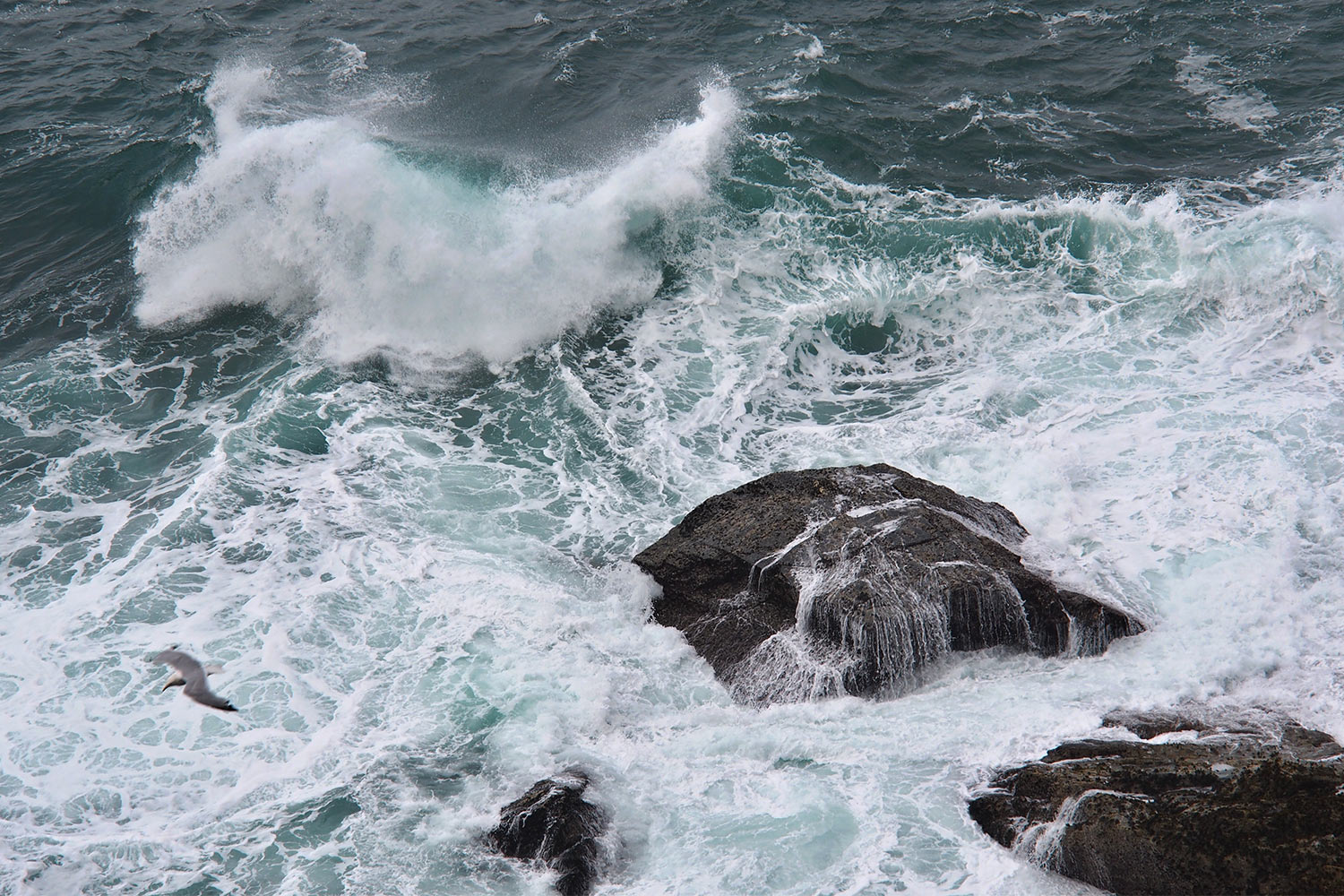 P0056429-2016-suedengland-cornwall-sw-coast-path-bei-tintagel-meer Meer am South West Coast Path bei Tintagel . Cornwall . Südengland (Foto: Andreas Kuhrt)