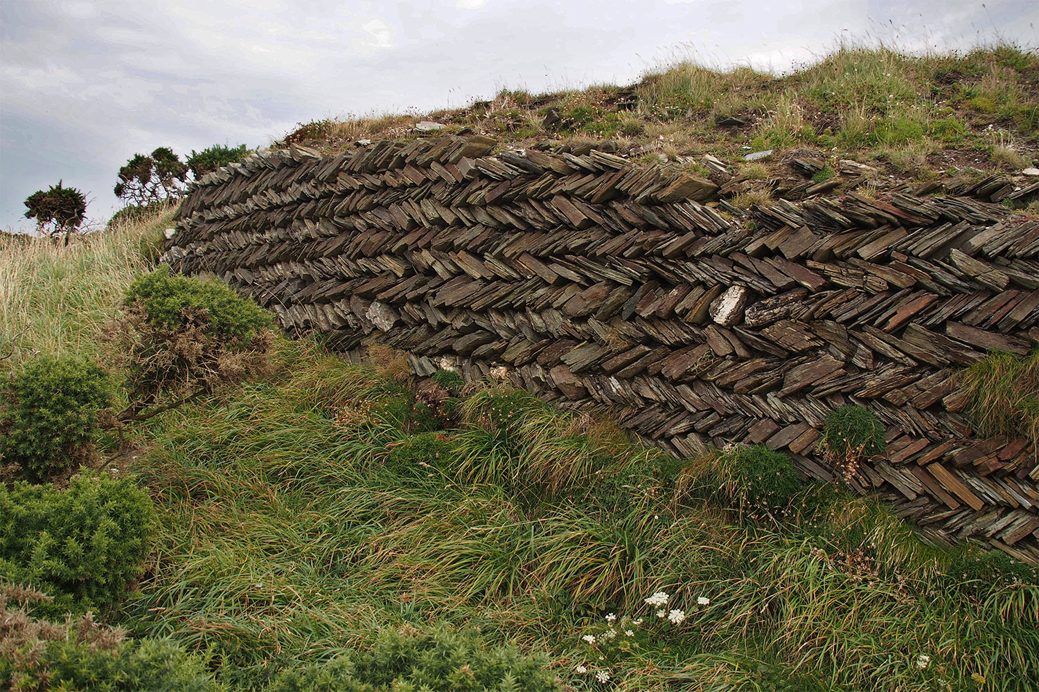 P0056462-2016-suedengland-cornwall-sw-coast-path-trockenmauer Trockenmauer am South West Coast Path bei Tintagel . Cornwall . Südengland (Foto: Andreas Kuhrt)