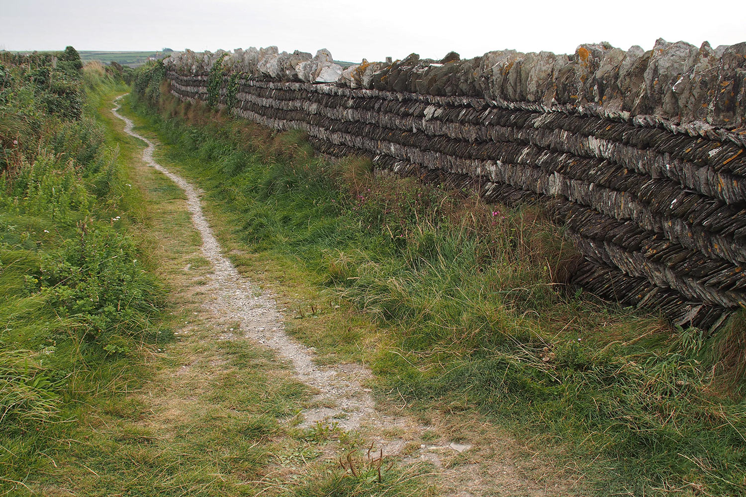 P0056487-2016-suedengland-cornwall-sw-coast-path-trockenmauer Trockenmauer am South West Coast Path bei Tintagel . Cornwall . Südengland (Foto: Andreas Kuhrt)