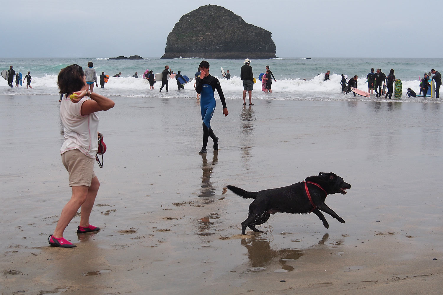 P0056520-2016-suedengland-cornwall-trebarwith-strand Hund am Trebarwith Strand . Cornwall . Südengland (Foto: Andreas Kuhrt)