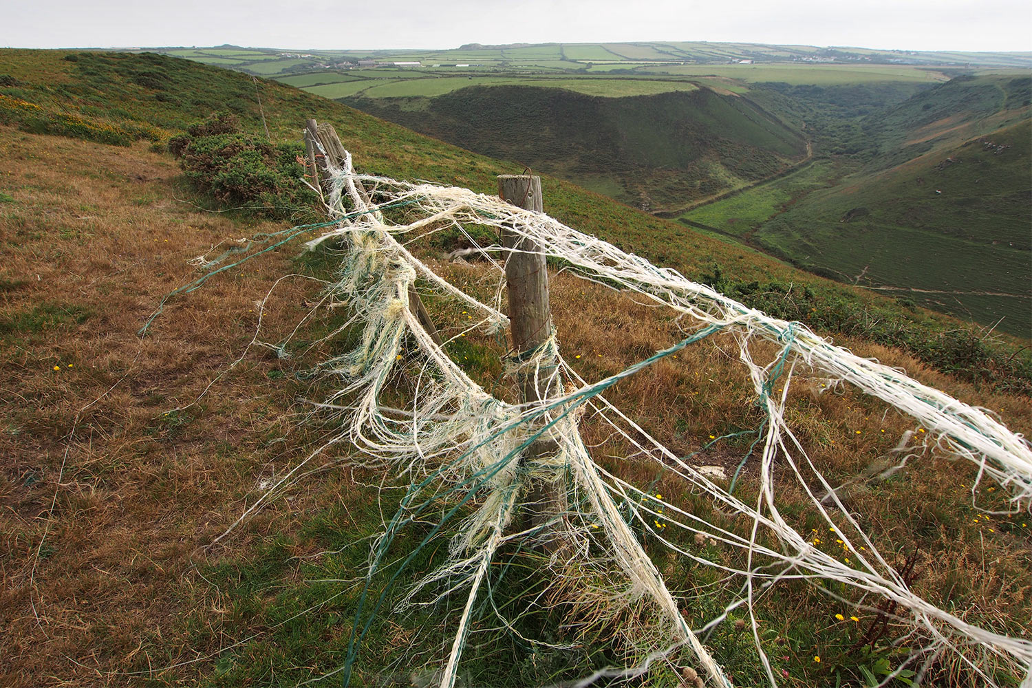 P0056611-2016-suedengland-cornwall-sw-coast-path-bei-trebarwith South West Coast Path bei Trebarwith . Cornwall . Südengland (Foto: Andreas Kuhrt)