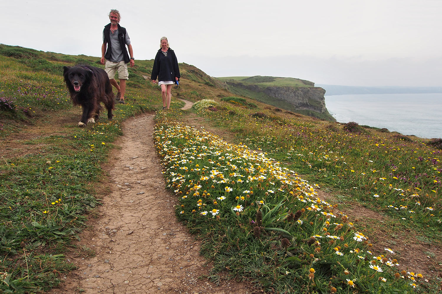 P0056635-2016-suedengland-cornwall-sw-coast-path-bei-treligga Wanderer auf dem South West Coast Path bei Treligga . Cornwall . Südengland (Foto: Andreas Kuhrt)