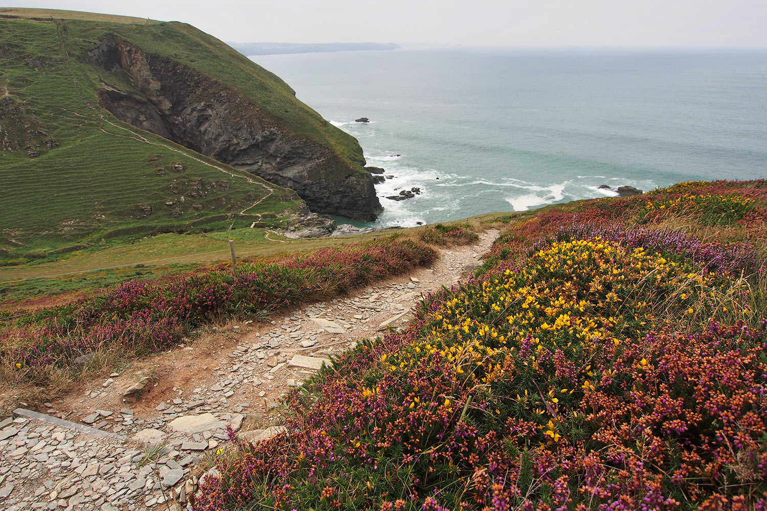 P0056646-2016-suedengland-cornwall-sw-coast-path-bei-saint-teath Taleinschnitt am South West Coast Path bei Higher Hendra . Cornwall . Südengland (Foto: Andreas Kuhrt)