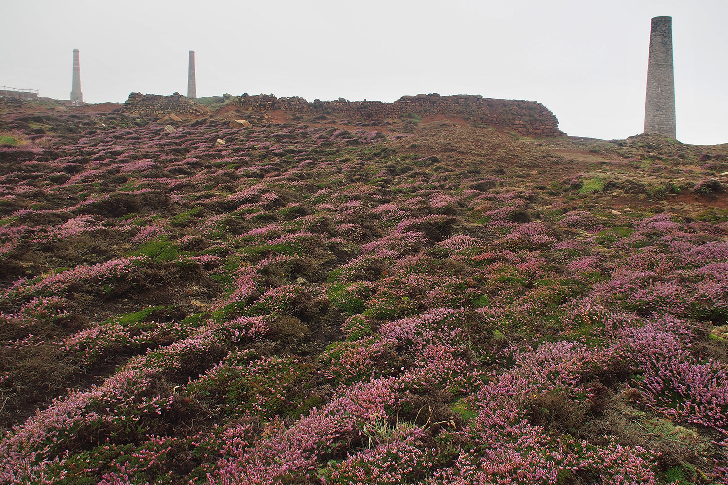 P0056781-2016-suedengland-cornwall-tin-coast-levant-mine Levant Mine . Tin Coast . Cornwall . Südengland (Foto: Andreas Kuhrt)