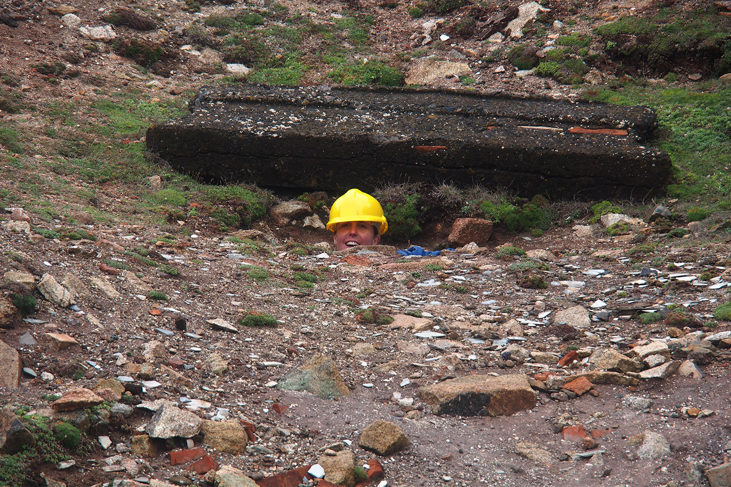P0056848-2016-suedengland-cornwall-tin-coast-levant-mine-kuckuck Kuckuck . Levant Mine . Tin Coast . Cornwall . Südengland (Foto: Andreas Kuhrt)