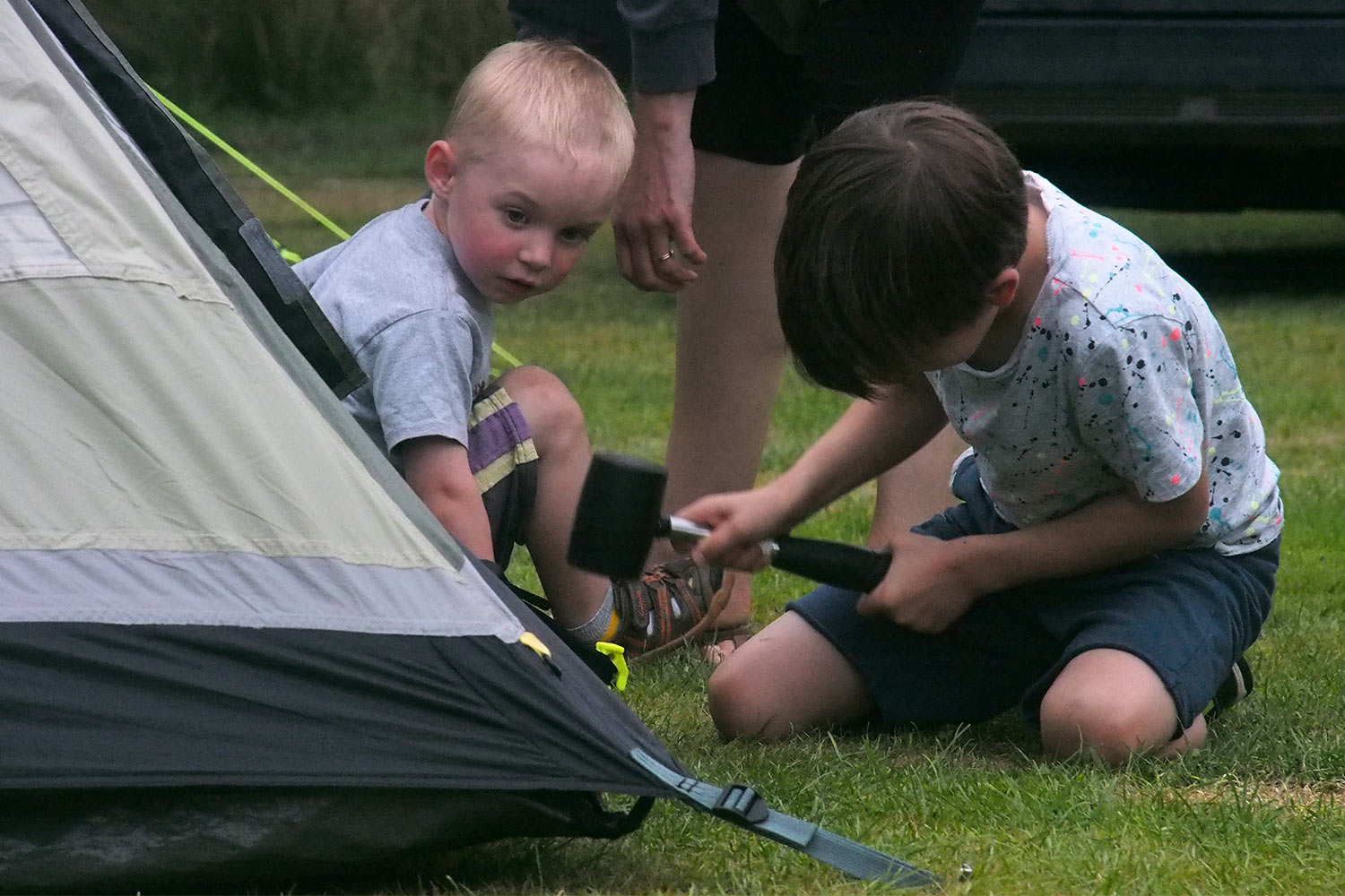 Zeltaufbau auf dem Little Winnick Touring Park . bei Pentewan . Cornwall . Südengland (Foto: Andreas Kuhrt)