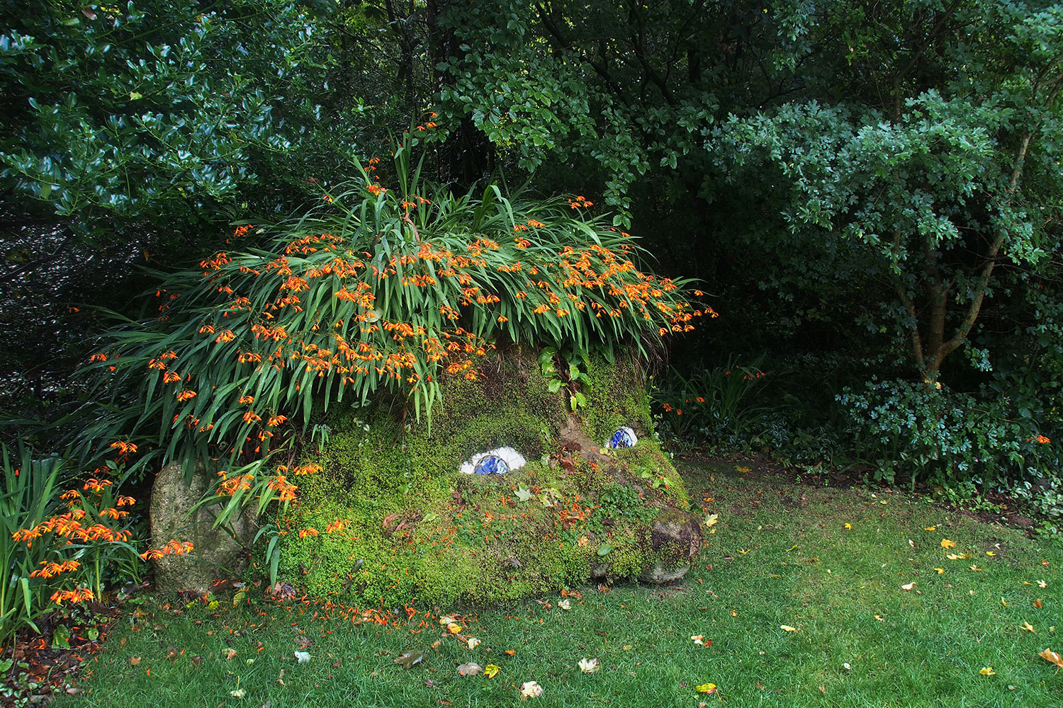 Pflanzskulptur "Giant's Head" von Susan Hill . Lost Gardens of Heligan . Cornwall . Südengland (Foto: Andreas Kuhrt)