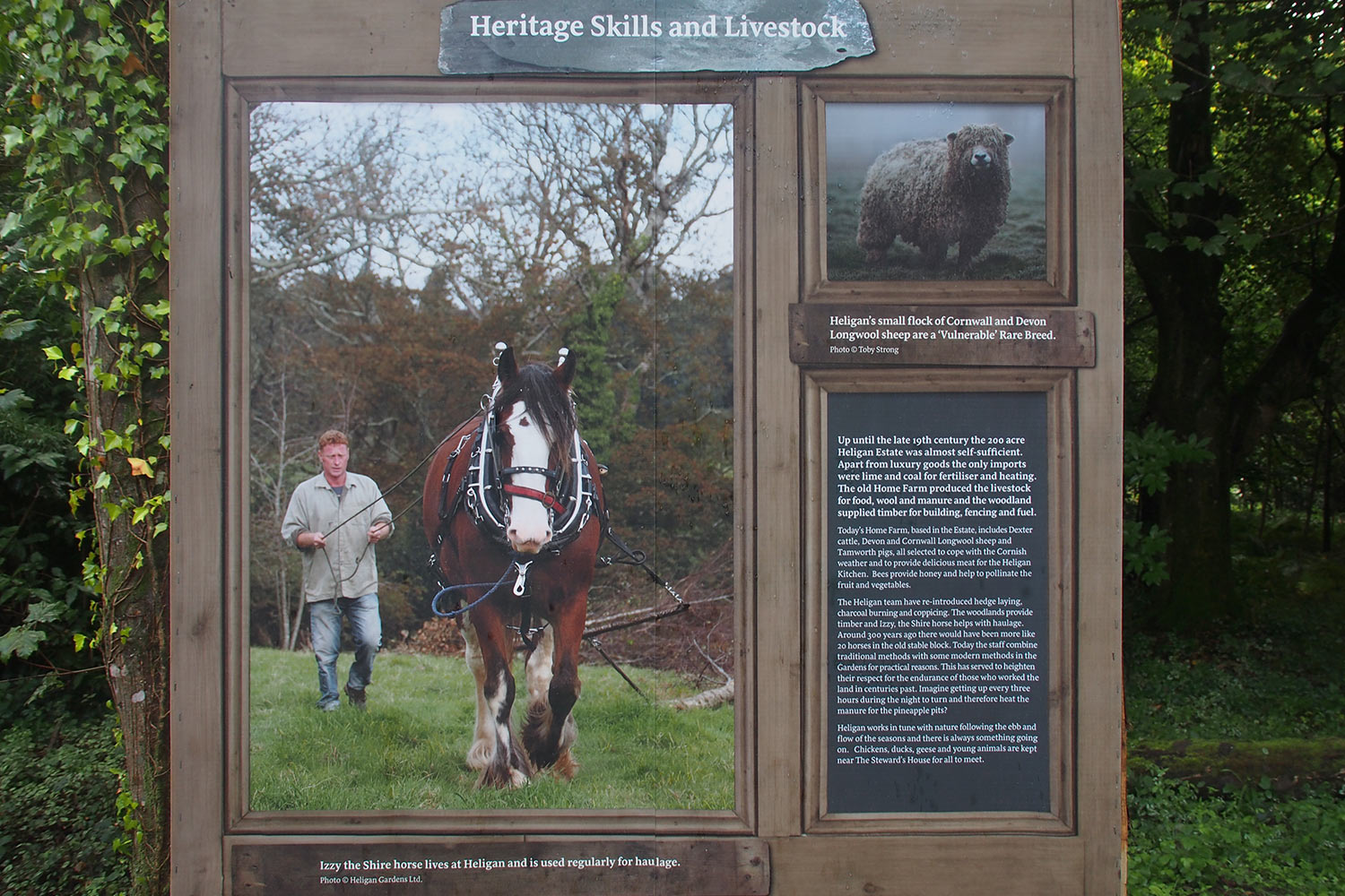 Infotafel in "Lost Gardens of Heligan" . bei Mevagissey . Cornwall . Südengland (Foto: Andreas Kuhrt)