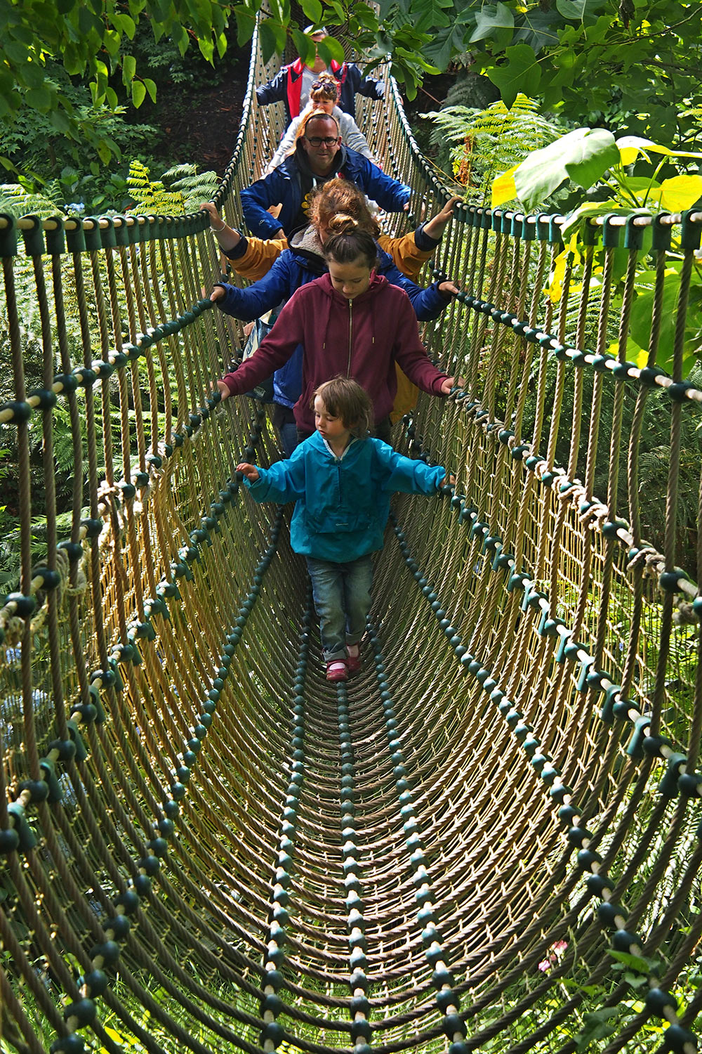 Seilhängebrücke im Dschungel . Lost Gardens of Heligan . Cornwall . Südengland (Foto: Andreas Kuhrt 2016)