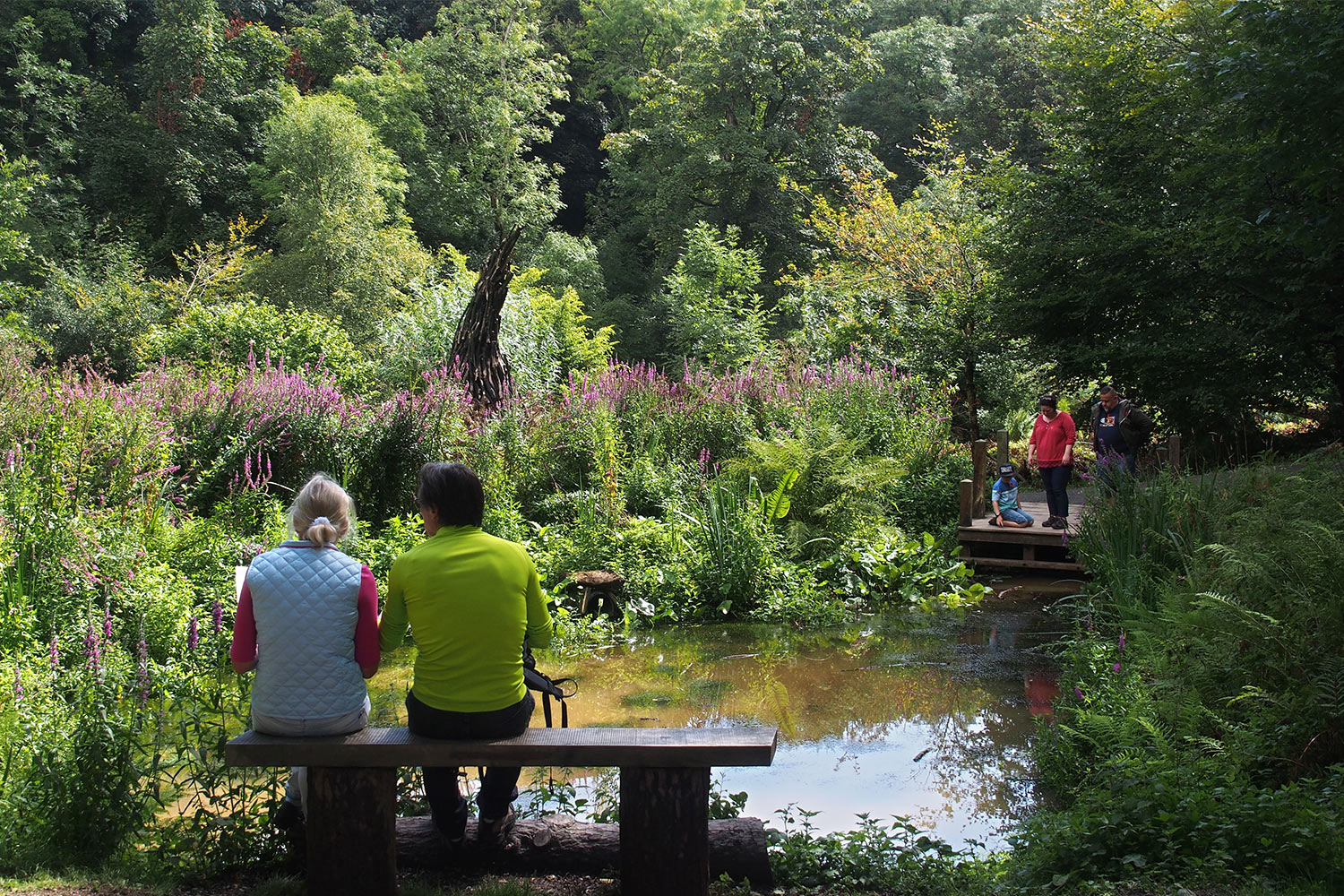 Teich im Lost Valley . Lost Gardens of Heligan . Cornwall . Südengland (Foto: Andreas Kuhrt 2016)