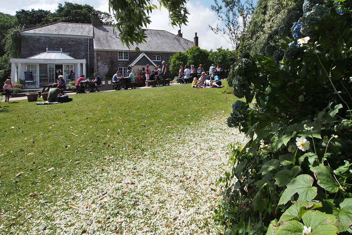 Wiese am Steward's House . Lost Gardens of Heligan . Cornwall . Südengland (Foto: Andreas Kuhrt 2016)