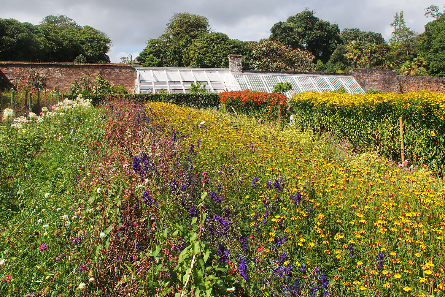 Blumengarten . Lost Gardens of Heligan . Cornwall . Südengland (Foto: Andreas Kuhrt 2016)