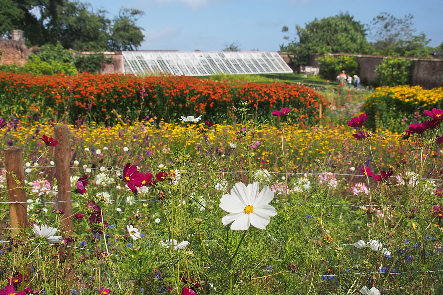 Blumengarten . Lost Gardens of Heligan . Cornwall . Südengland (Foto: Andreas Kuhrt 2016)