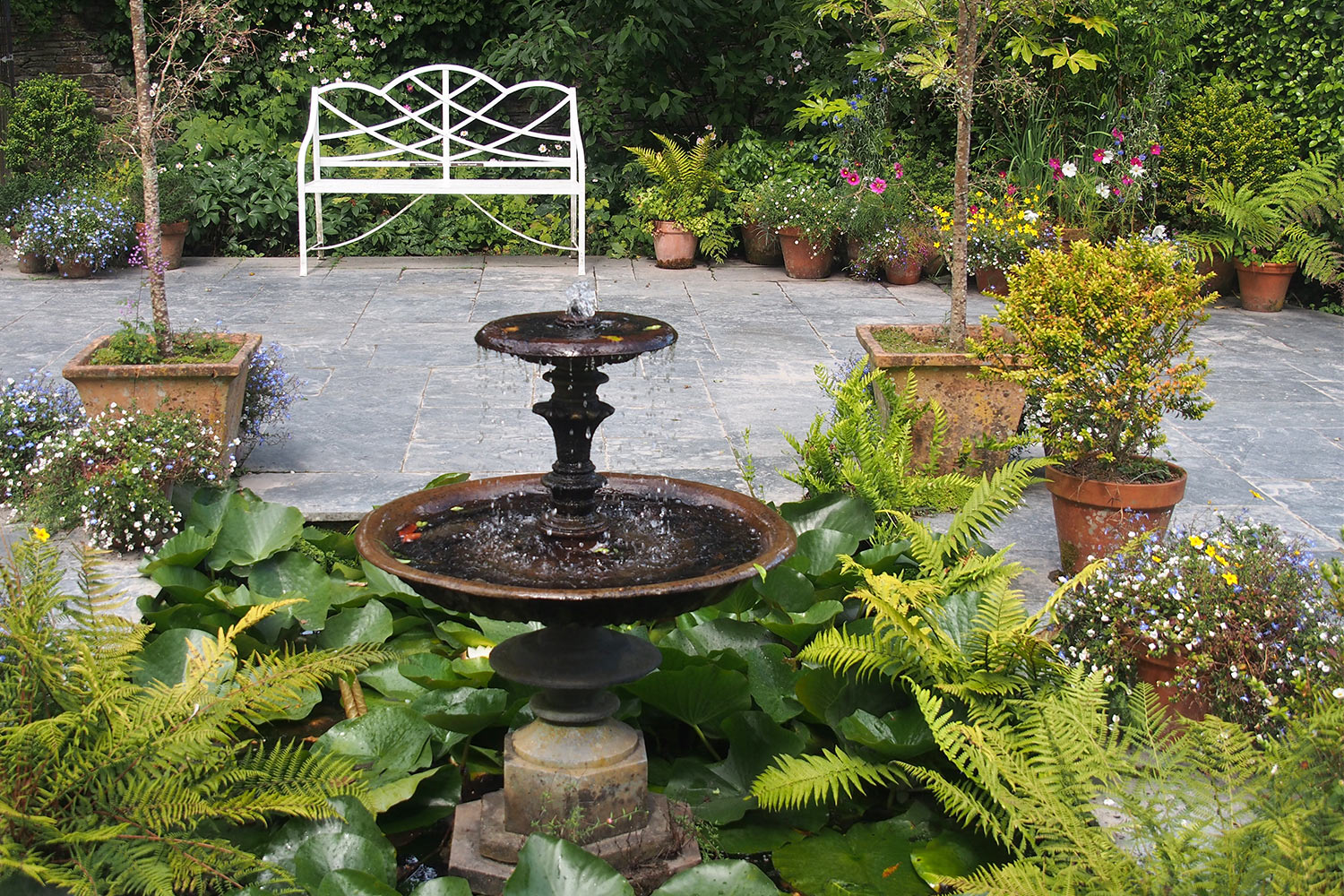 Italienischer Garten . Lost Gardens of Heligan . Cornwall . Südengland (Foto: Andreas Kuhrt 2016)
