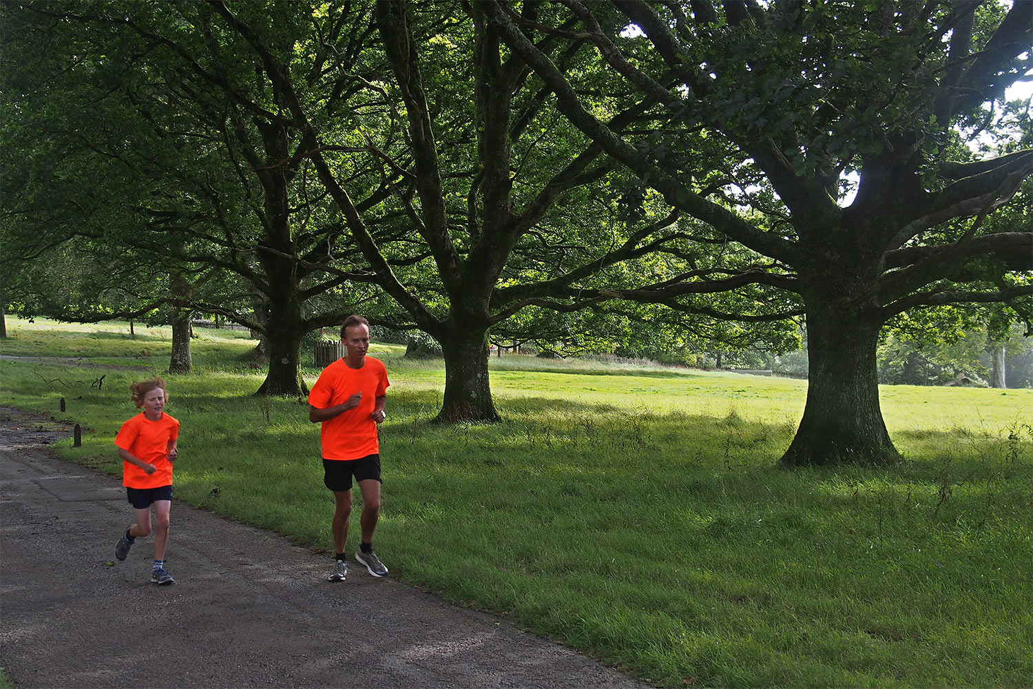 Sonnabendlauf im Lanhydrock Park . Cornwall . Südengland (Foto: Andreas Kuhrt 2016)
