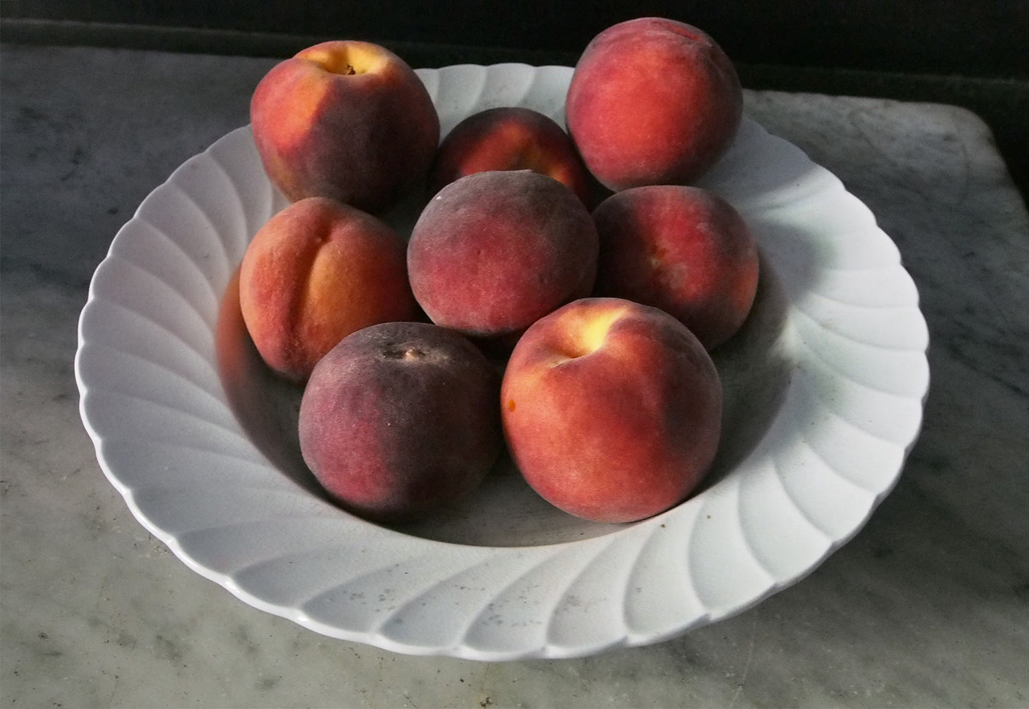 Pfirsiche . Lanhydrock House . Cornwall . Südengland (Foto: Andreas Kuhrt 2016)