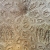 Stuckdecke aus dem 17. Jh. mit biblischen Motiven in der Galerie . Lanhydrock House . Cornwall . Südengland (Foto: Andreas Kuhrt 2016)