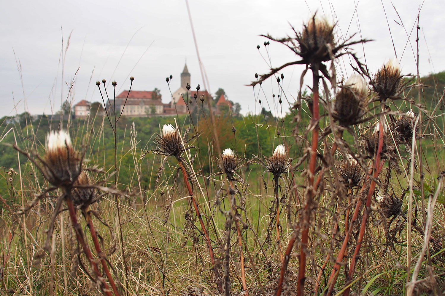Leuchtenburg vom Pfaffenberg . bei Seitenroda . Thüringen (Foto: Andreas Kuhrt 2016)