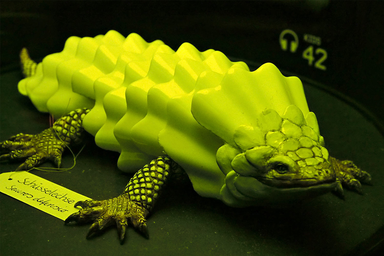 Schüsselechse . Ausstellung "Porzellanwelten" . Leuchtenburg . bei Seitenroda . Thüringen (Foto: Andreas Kuhrt 2016)