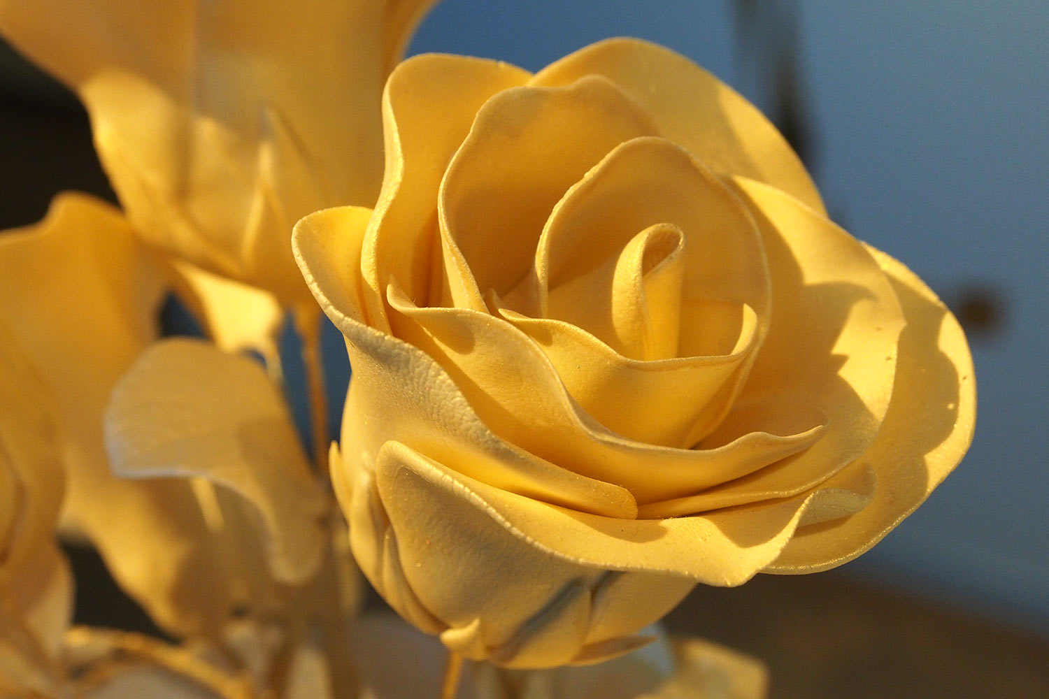 Porzellanrose von der Fürstentafel . Ausstellung "Porzellanwelten" . Leuchtenburg . bei Seitenroda . Thüringen (Foto: Andreas Kuhrt 2016)