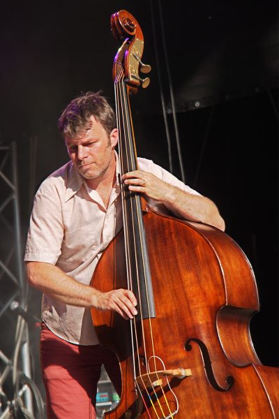 Ani DiFranco Band: Todd Sickafoose . Rudolstadt-Festival 2017 (Foto: Andreas Kuhrt)