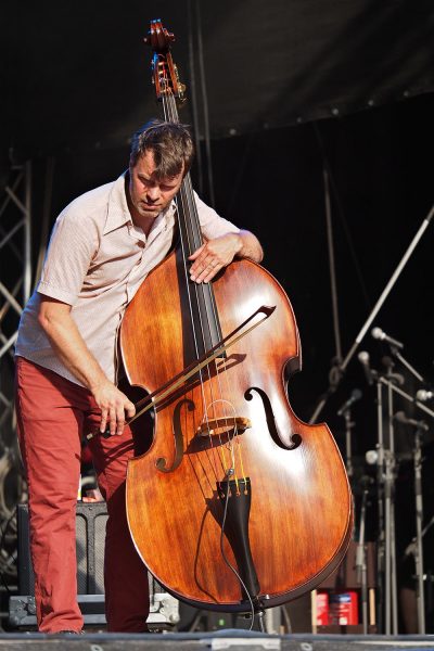 Ani DiFranco Band: Todd Sickafoose . Rudolstadt-Festival 2017 (Foto: Andreas Kuhrt)