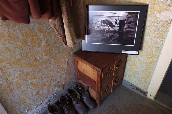 Marabu (Foto: Astrid Schweppe) . Fotoausstellung "Ästhetiken des Verfalls" . Kloster Veßra 2018 (Foto: Andreas Kuhrt)