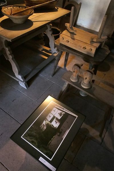Moosteppich (Foto: Irina Graf) . Fotoausstellung "Ästhetiken des Verfalls" . Kloster Veßra 2018 (Foto: Andreas Kuhrt)