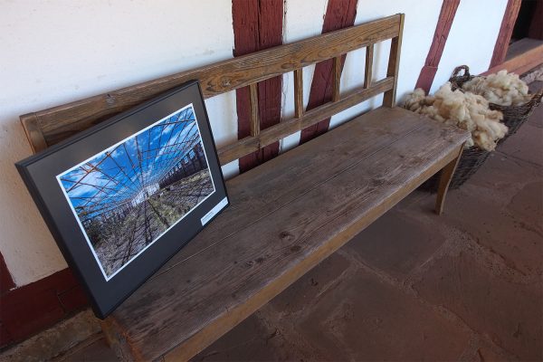 Massentierhaltung (Foto: Claus Richter) . Fotoausstellung "Ästhetiken des Verfalls" . Kloster Veßra 2018 (Foto: Andreas Kuhrt)