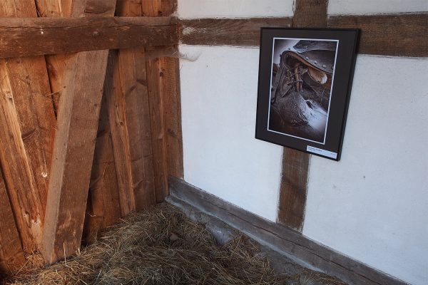 Verwoben (Foto: Jana Böttcher) . Fotoausstellung "Ästhetiken des Verfalls" . Kloster Veßra 2018 (Foto: Andreas Kuhrt)