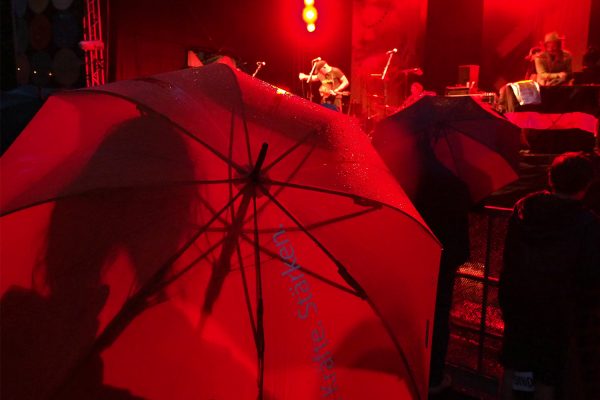 Vor der Konzertbühne im Heinepark . Rudolstadt-Festival 2018 (Foto: Andreas Kuhrt)