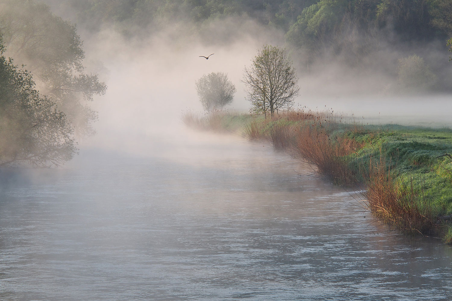 Malerisch . Werra bei Heldra 2018 (Foto: Andreas Kuhrt)