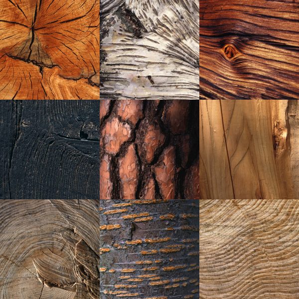 Fotosynthese: Holz (Fotos & Gestaltung: Andreas Kuhrt)