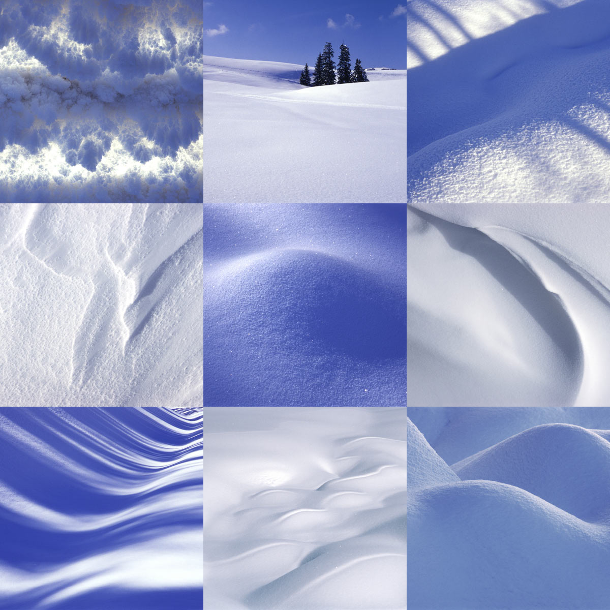 Fotosynthese: Schnee (Fotos & Gestaltung: Andreas Kuhrt)